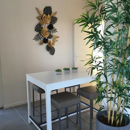 Helena Terras Penthouse Ostenda